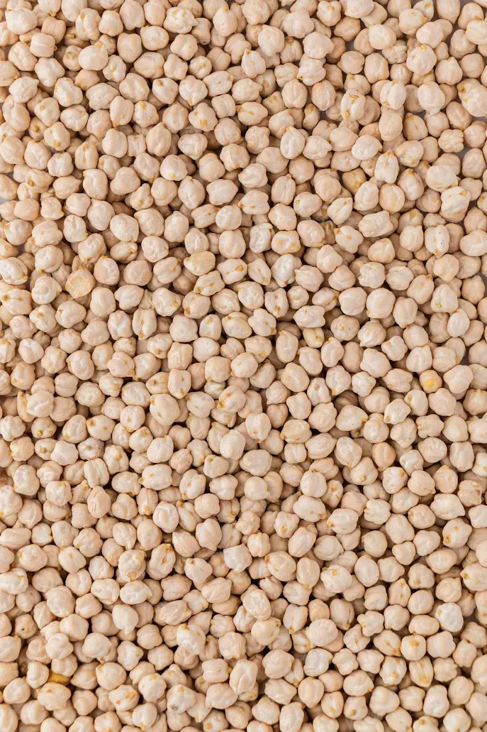 Chickpea